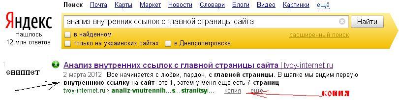 Вид поисковой выдачи Яндекса